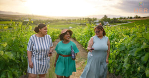 Cape wines feature image