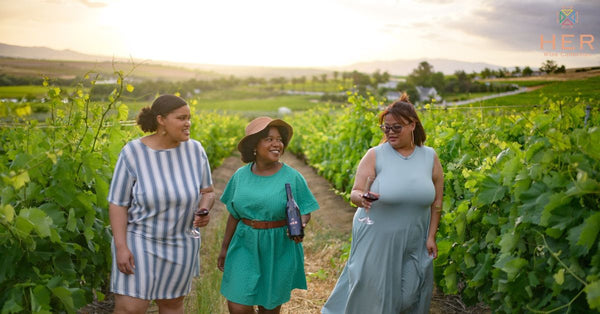 Cape wines feature image
