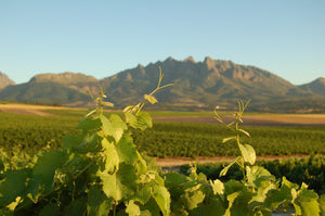 Bursary feature image