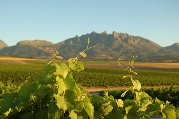 Bursary feature image