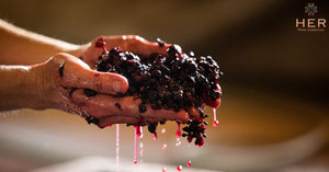 how long do grapes ferment for wine feature image