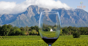 cape wine feature image