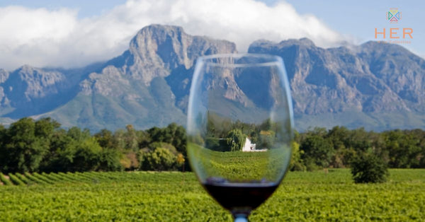 cape wine feature image