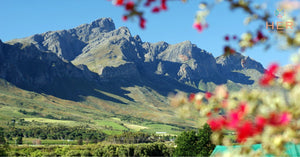 Porterville feature image