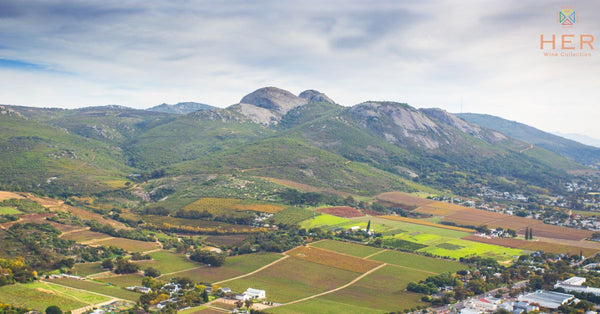 paarl wine farms feature image