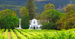 Wine Farms Western Cape Feature Image