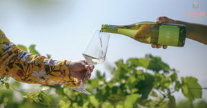 summer in cape town feature image