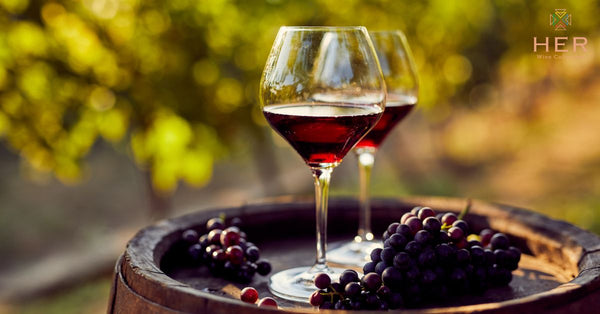 pinotage vs merlot - feature image