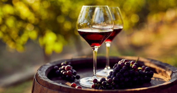 Cabernet Sauvignon vs Merlot Feature Image 